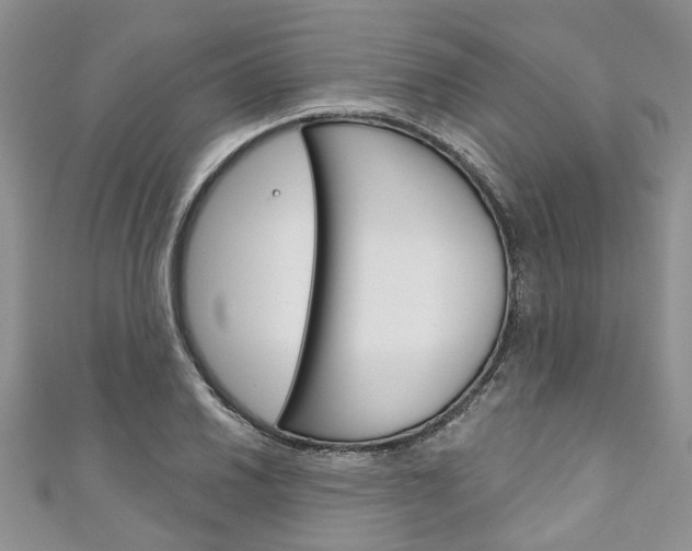 X0000111201030200907011025