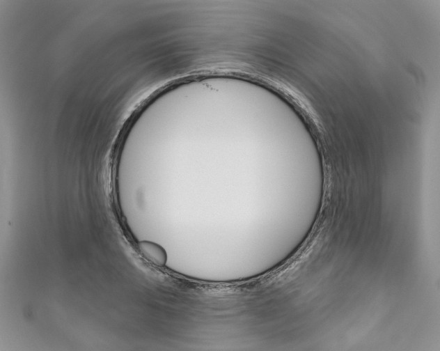 X0000111201031200907011025