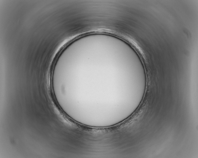 X0000111201032200907011025
