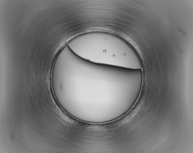 X0000111201033200907011025