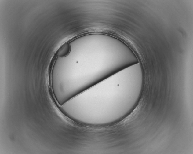X0000111201034200907011025