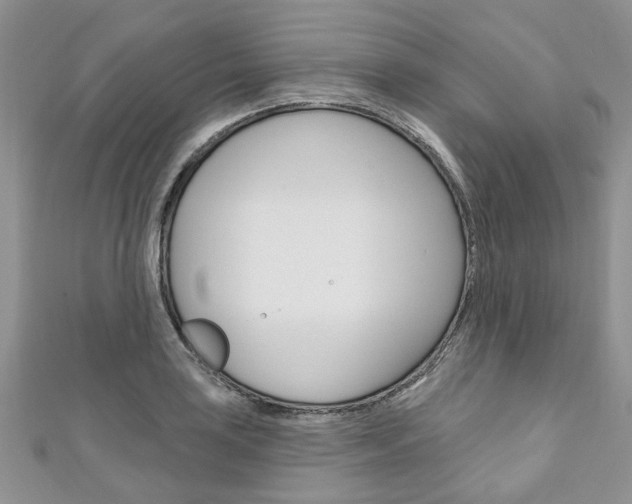 X0000111201035200907011025