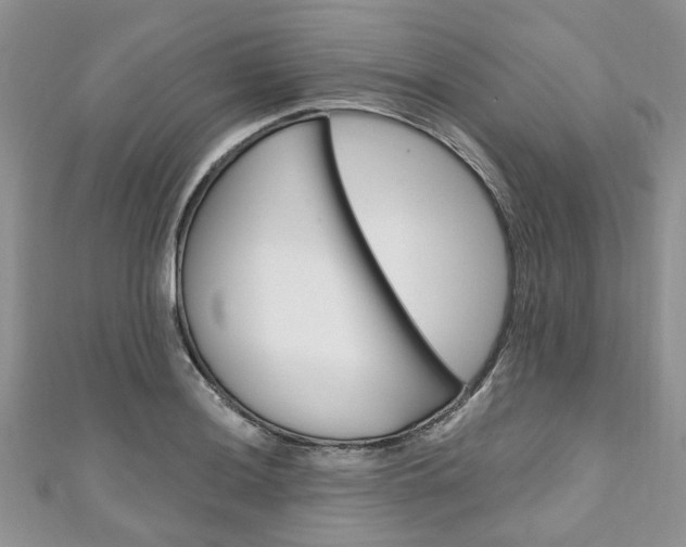 X0000111201036200907011025