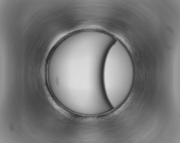 X0000111201038200907011025