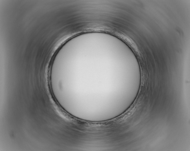 X0000111201039200907011025
