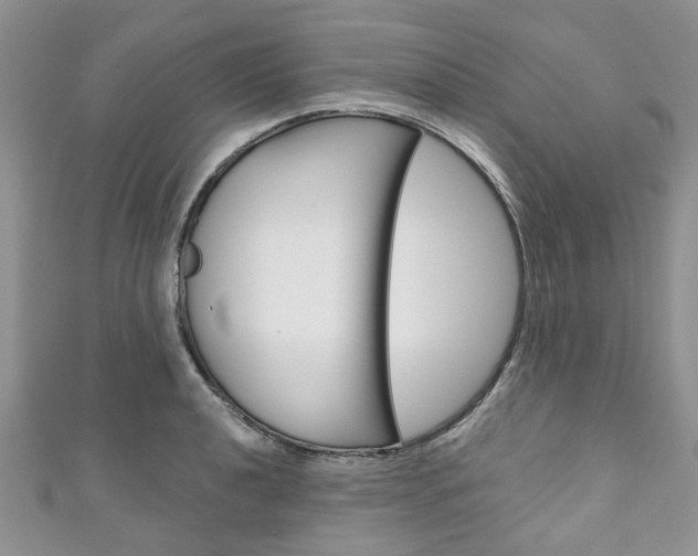 X0000111201040200907011026