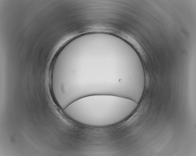 X0000111201043200907011026