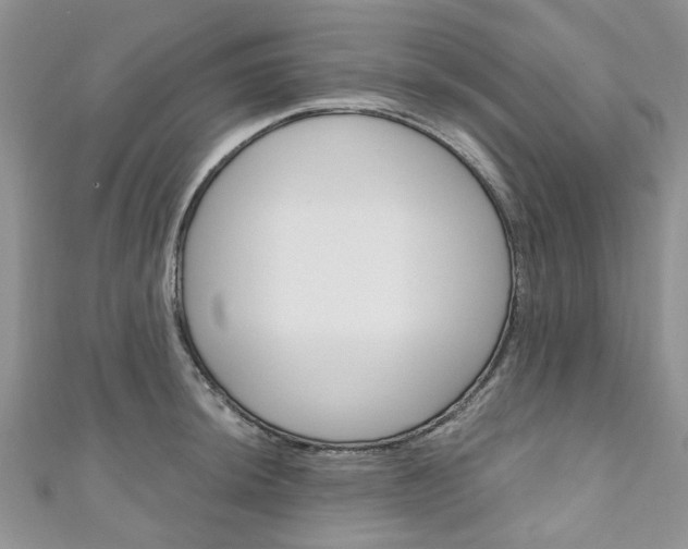 X0000111201044200907011026