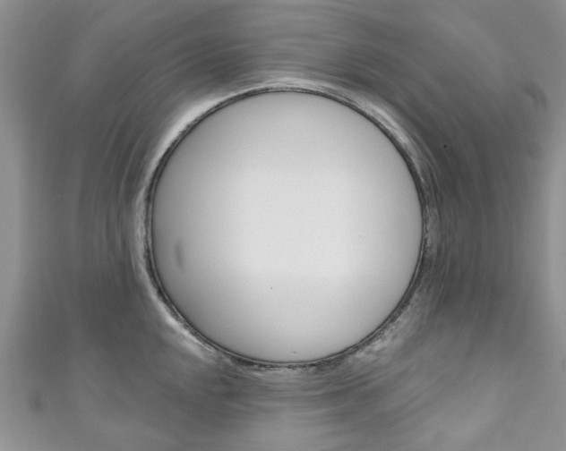 X0000111201048200907011026