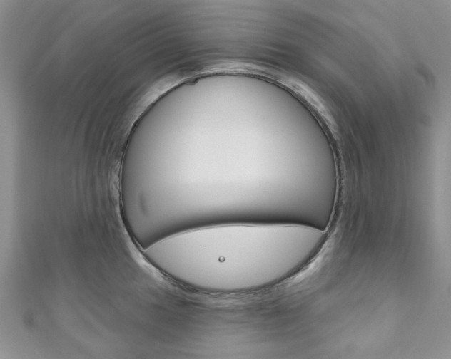 X0000111201049200907011026