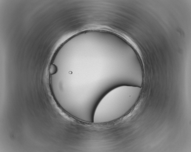 X0000111201053200907011026