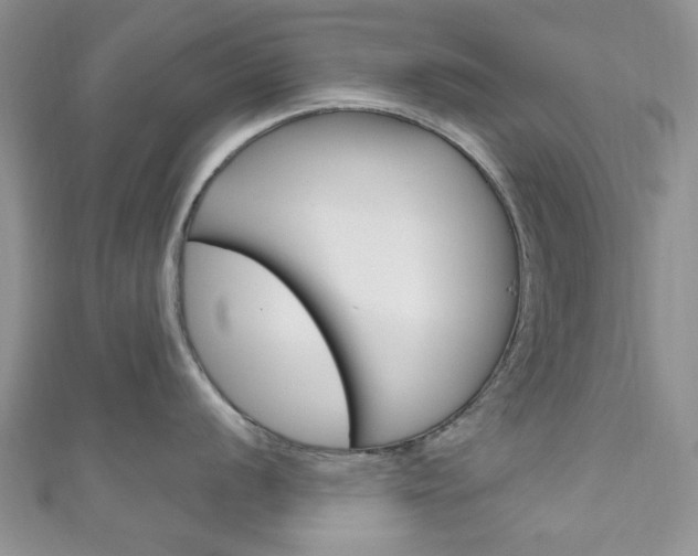 X0000111201056200907011026