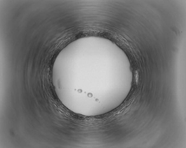 X0000111201059200907011025