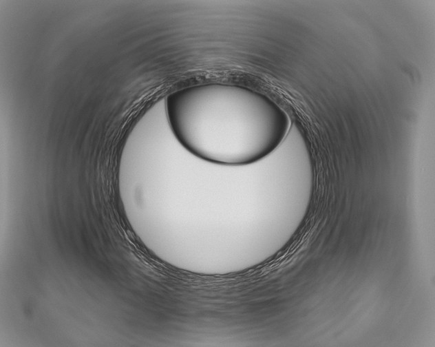 X0000111201060200907011025