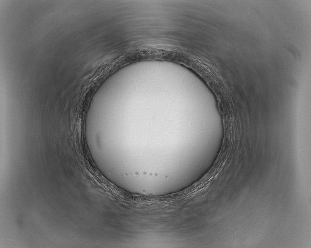 X0000111201061200907011025