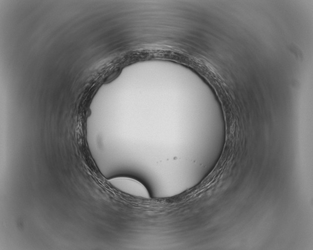 X0000111201062200907011025