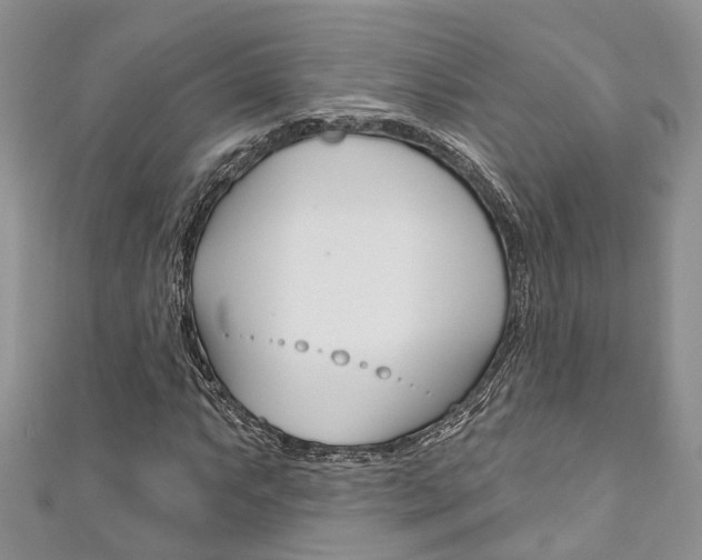X0000111201063200907011025