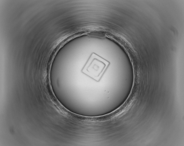 X0000111201065200907011025