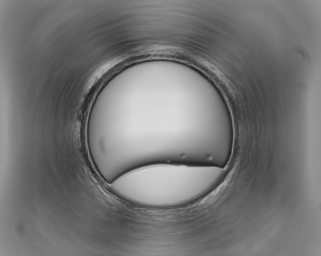 X0000111201066200907011025