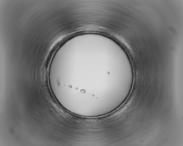 X0000111201067200907011025
