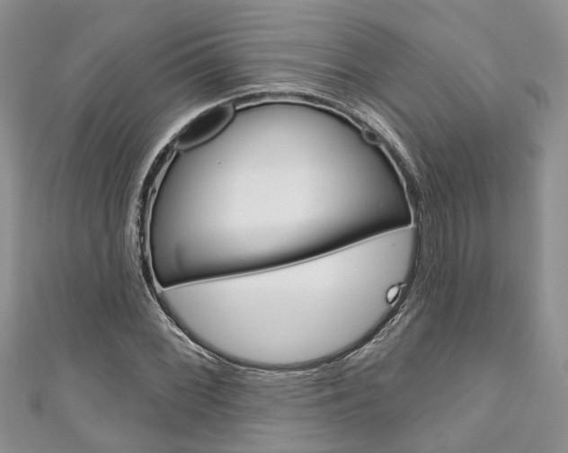 X0000111201068200907011025