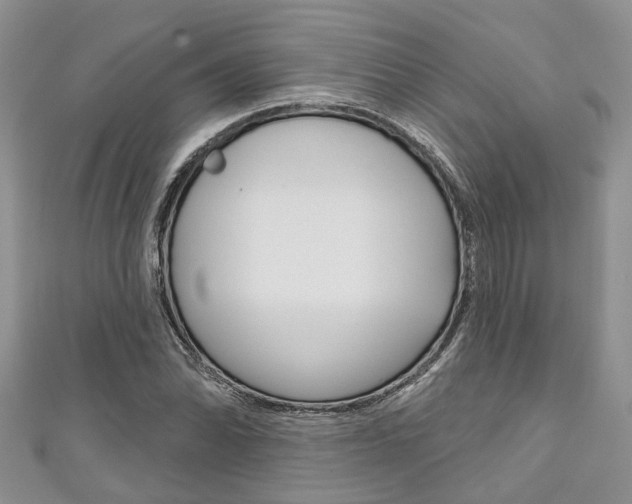 X0000111201070200907011025