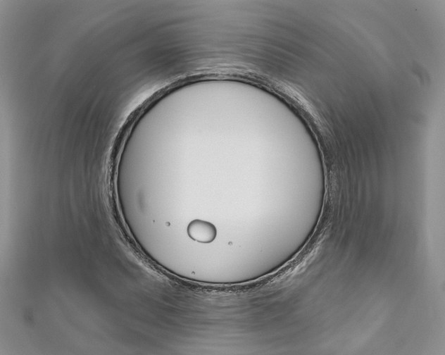 X0000111201071200907011025