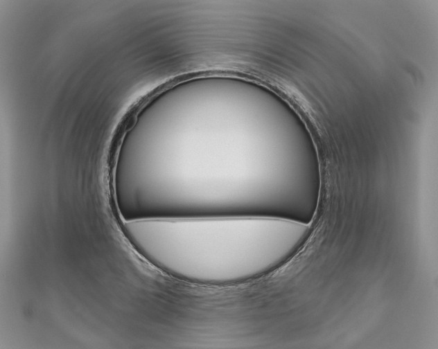 X0000111201072200907011025