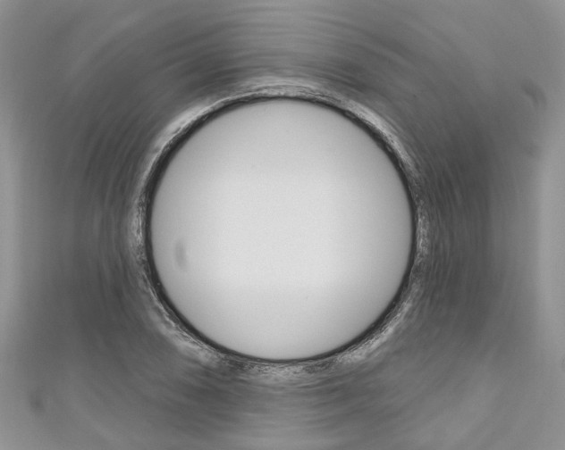X0000111201074200907011025