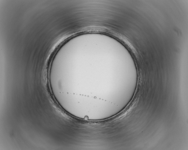 X0000111201075200907011025