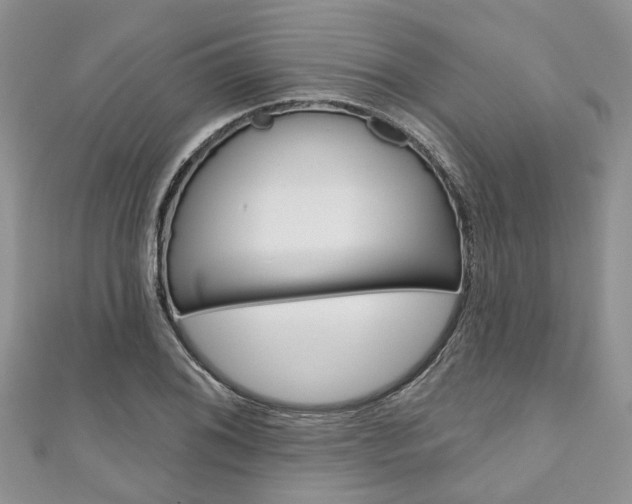 X0000111201076200907011025