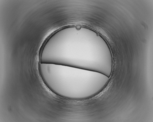 X0000111201079200907011025