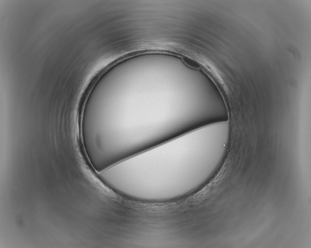 X0000111201080200907011025