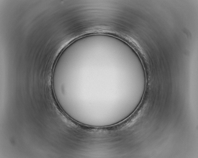 X0000111201081200907011025