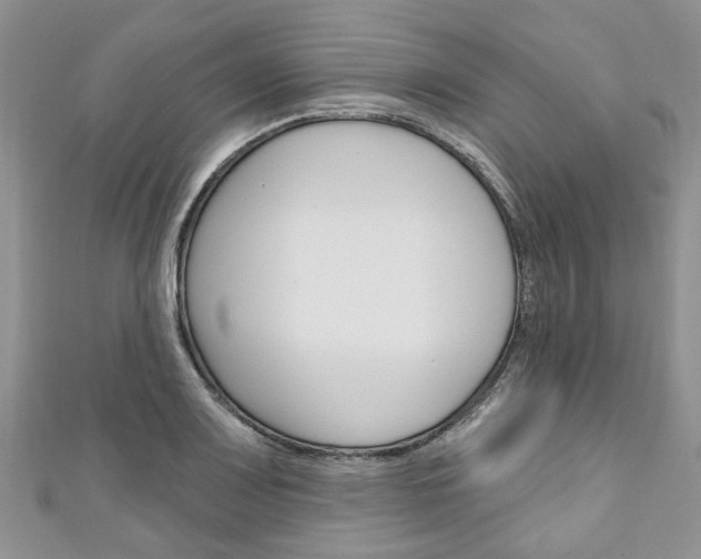 X0000111201083200907011025