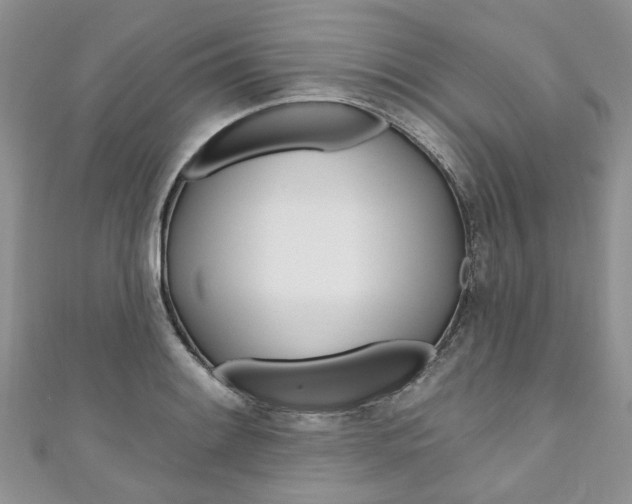 X0000111201084200907011025