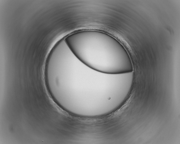 X0000111201085200907011025