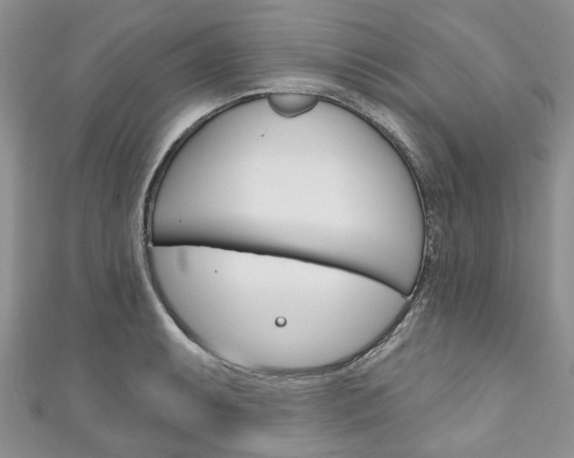 X0000111201087200907011025