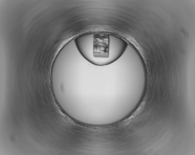 X0000111201089200907011025
