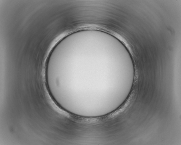 X0000111201090200907011025