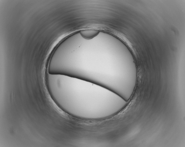 X0000111201091200907011025