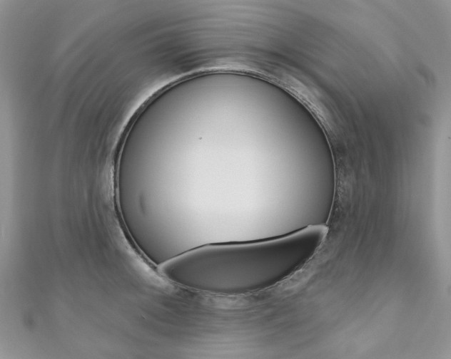 X0000111201092200907011025