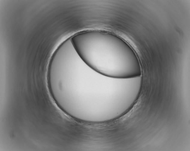 X0000111201093200907011024