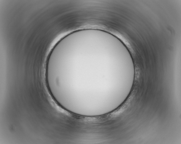 X0000111201094200907011024