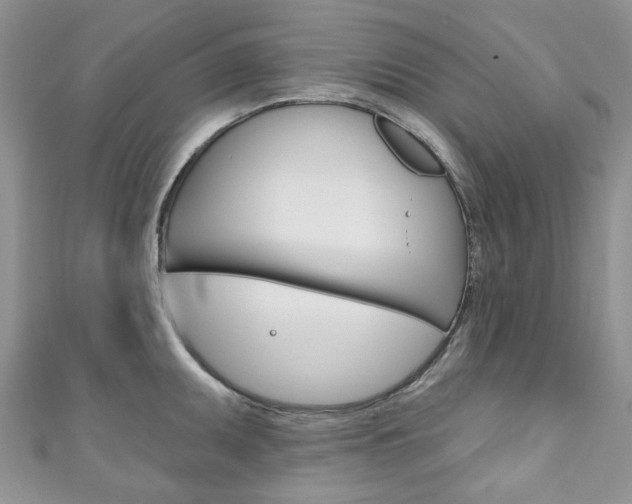 X0000111201095200907011024