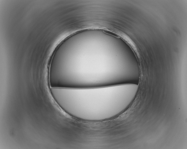 X0000111201096200907011024
