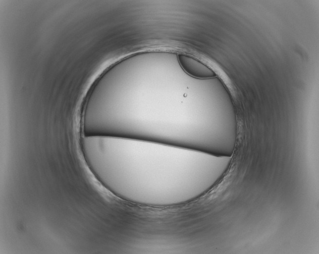 X0000111201099200907011024