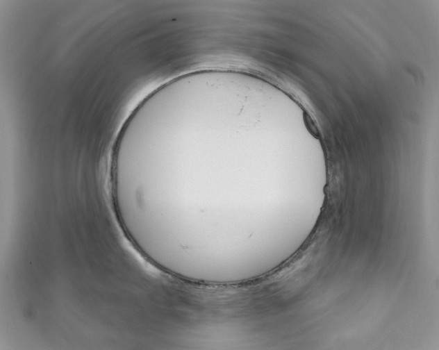 X0000111201103200907011024