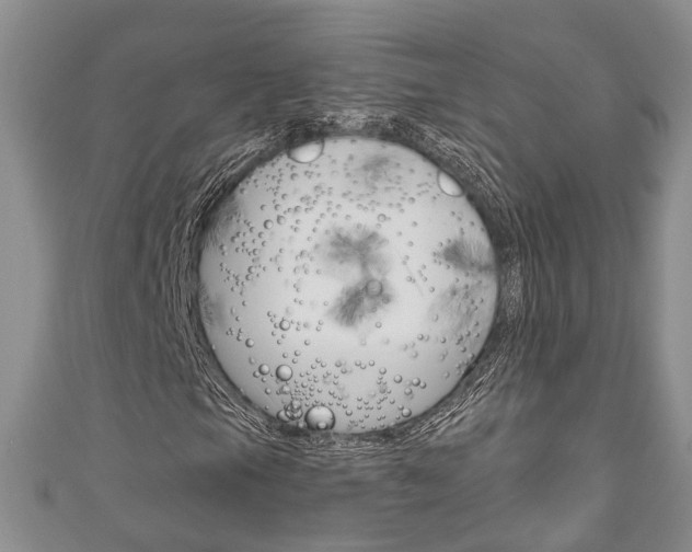 X0000111201105200907011024