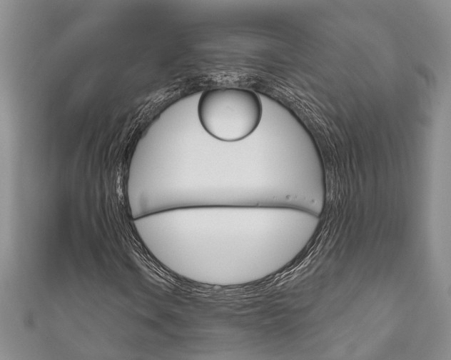 X0000111201106200907011024